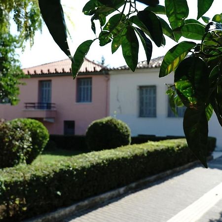 Aggelis Traditional Appartment Sparta Bagian luar foto